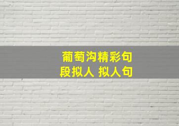 葡萄沟精彩句段拟人 拟人句